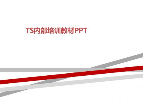 TS内部培训教材PPT