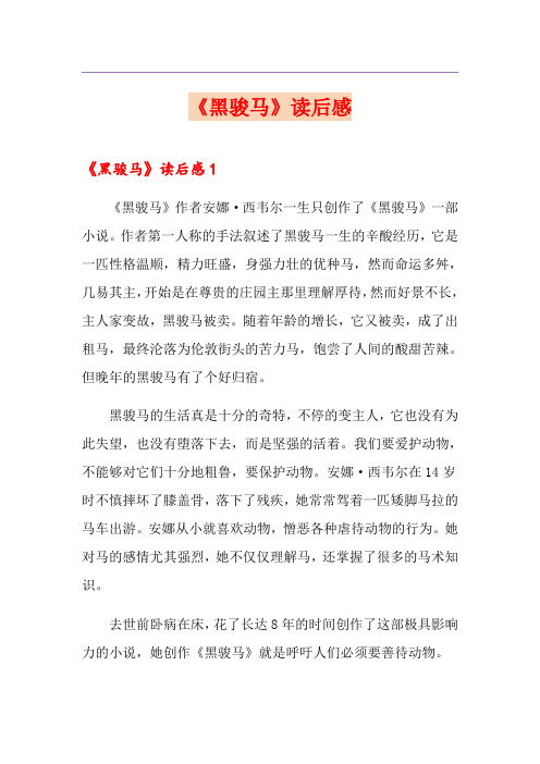 《黑骏马》读后感