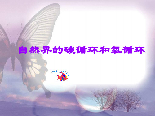 自然界的碳循环和氧循环PPT教学课件