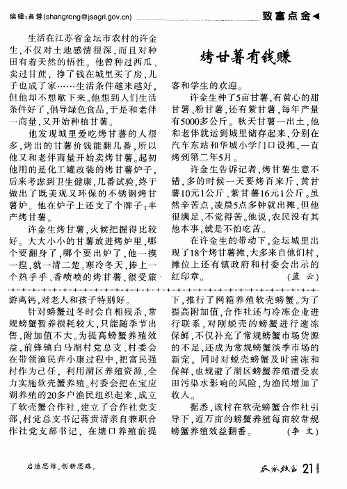 烤甘薯有钱赚