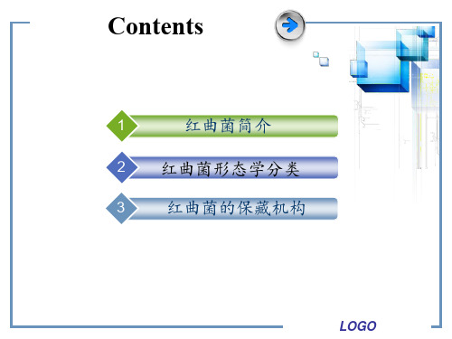 红曲菌形态菌丝无性世代有性世代
