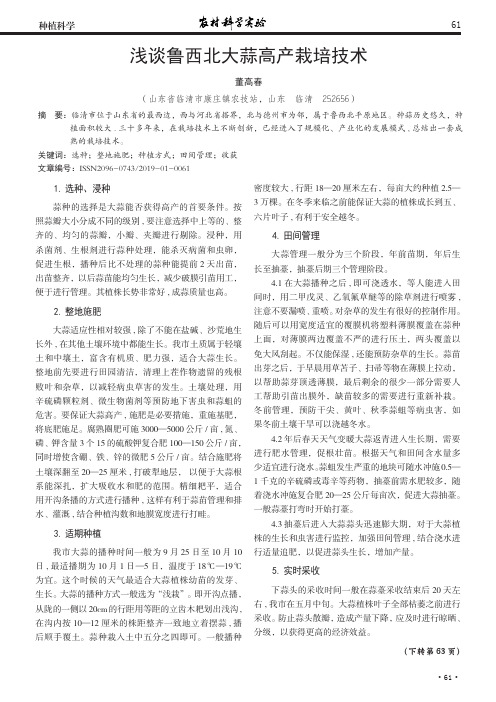 浅谈鲁西北大蒜高产栽培技术