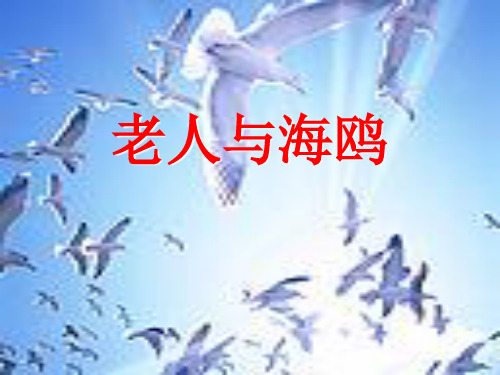 部编六年级上人教《21 老人与海鸥》赵彦利PPT课件 一等奖新名师优质课获奖比赛公开免费下载