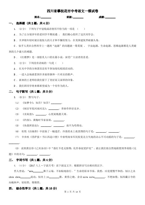 四川省攀枝花市中考语文一模试卷