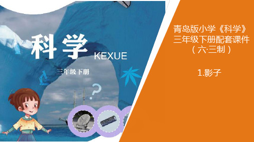 青岛版三年级下册科学整册课件(六三制)