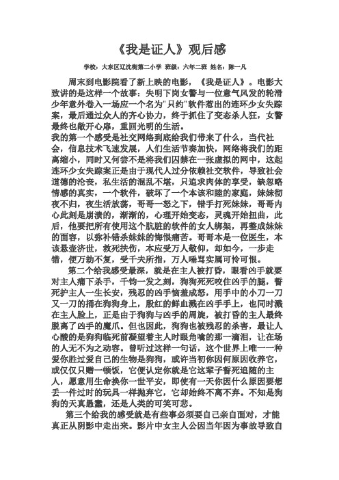 我是证人