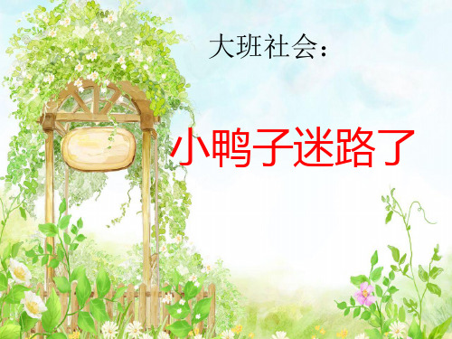大班社会：小鸭子迷路了