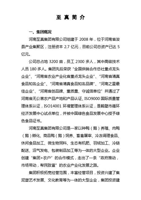 至真集团简介