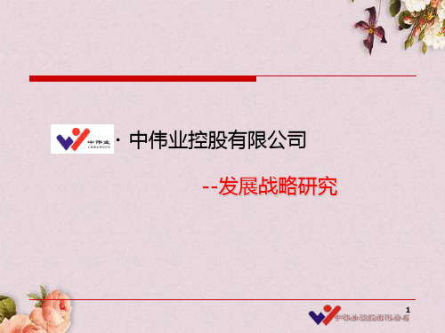 某控股有限公司战略发展研究教材(PPT 66页)
