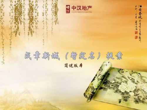 中寒地产_湖南衡阳成章新城项目销售执行策划提案_118页