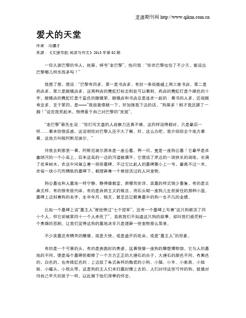 爱犬的天堂