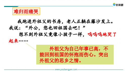 (全新免费版)1-3年级课件精选  4 梅花魂_21-25