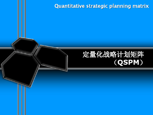 QSPM战略矩阵