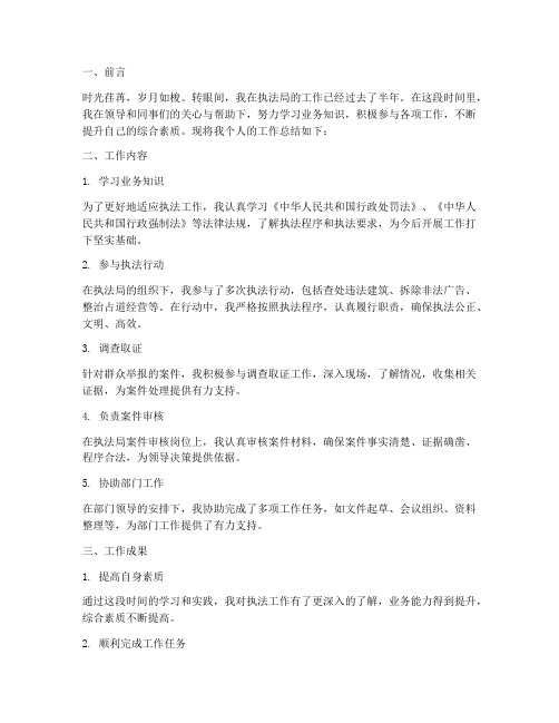 执法局个人工作总结