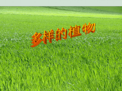 北京版三年级科学上册多样的植物课件1