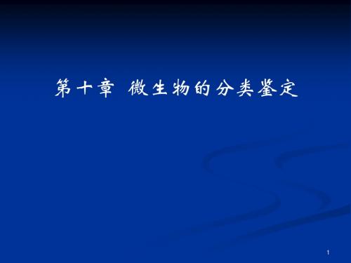 10章  微生物的分类鉴定