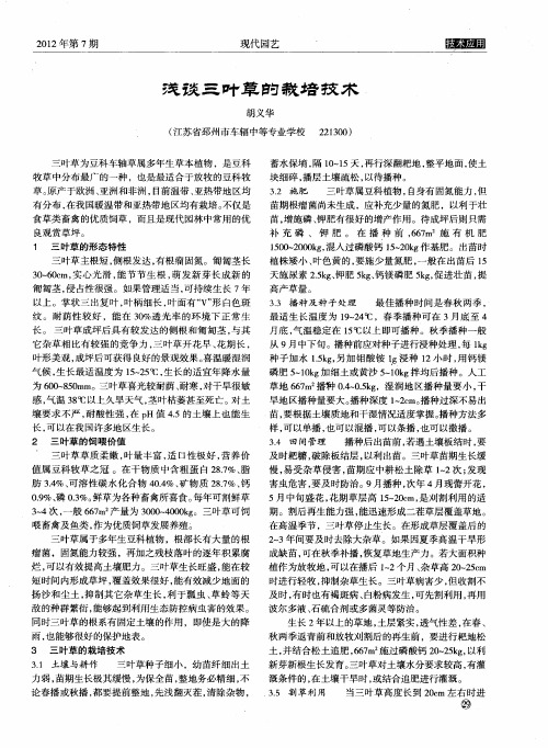 浅谈三叶草的栽培技术