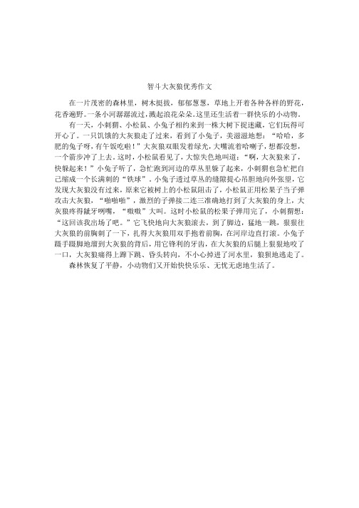 智斗大灰狼优秀作文