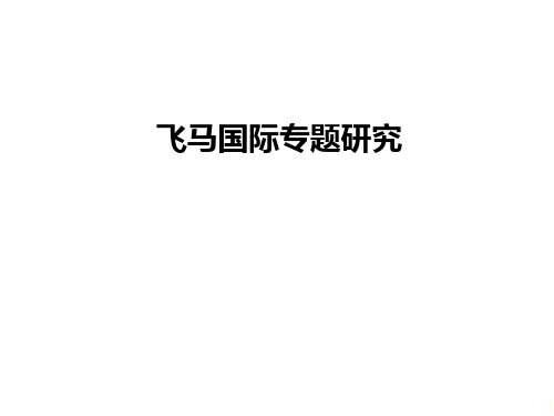 飞马国际专题研究讲解