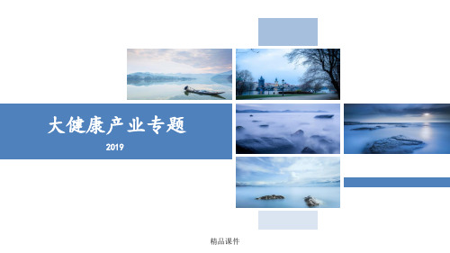 大健康产业专题ppt课件