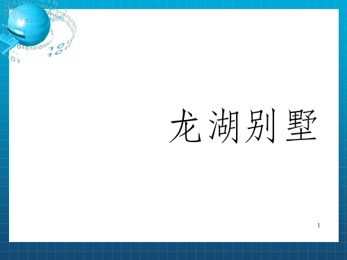 策源-上海龙湖别墅项目概念与产品研究_OK