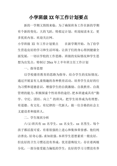小学班级XX年工作计划要点
