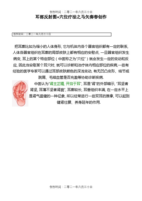 耳部穴位反射图