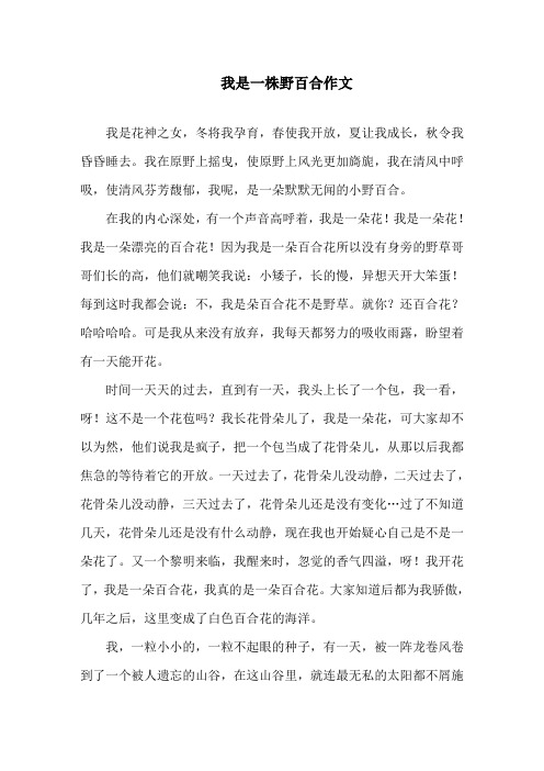 我是一株野百合作文精选