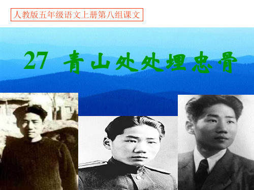 人教版五年级语文上册《27青山处处埋忠骨》PPT课件
