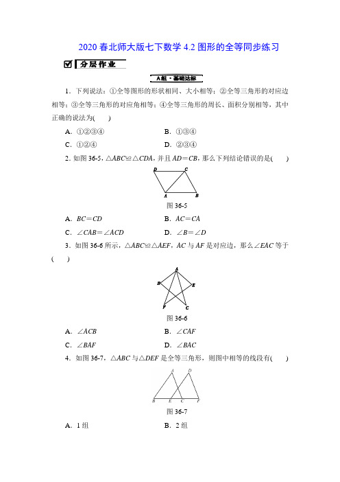 北师大版七年级下册 4.2 图形的全等 同步练习(包含答案)