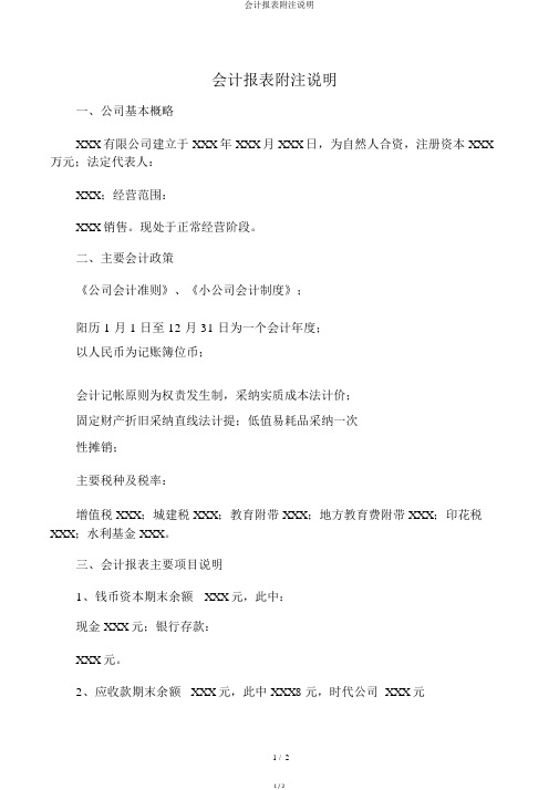 会计报表附注说明