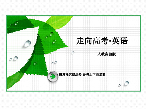 走向高考高三英语总复习专项语法3  代词  102张