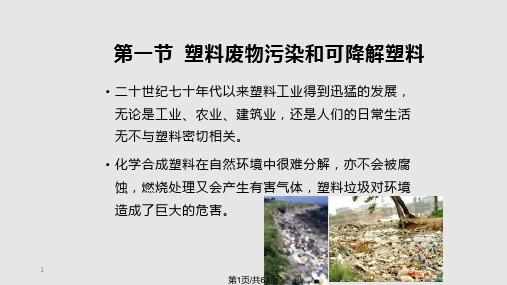 生物可降解塑料PPT课件