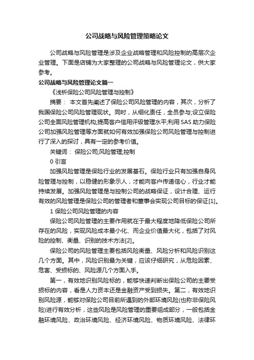 公司战略与风险管理策略论文