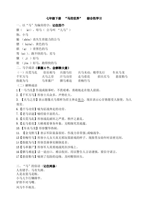 马的世界