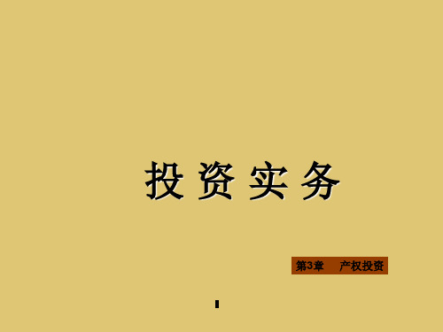 第3章 产权投资