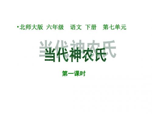六年级语文当代神农氏课件2(201908)