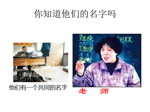 西师大版语文五年级上册第六单元《我的老师》课件1