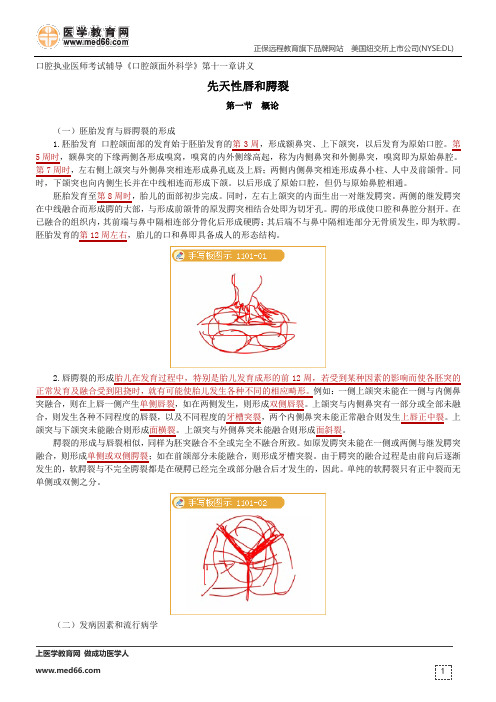 先天性唇和腭裂--口腔执业医师考试辅导《口腔颌面外科学》第十一章讲义