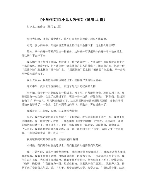 [小学作文]以小见大的作文(通用11篇)