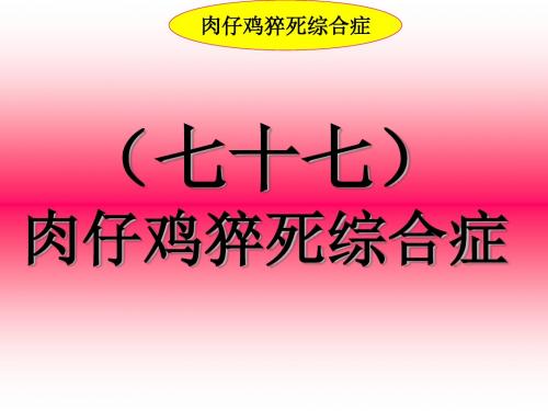 禽病学 禽病临床诊断彩色图谱 77肉鸡猝死综合症