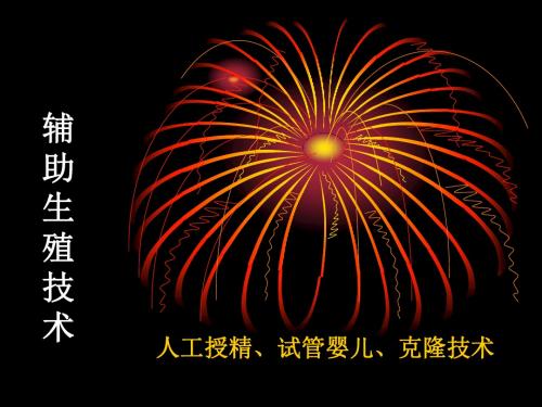 培训资料--人类生殖工程-PPT精品文档