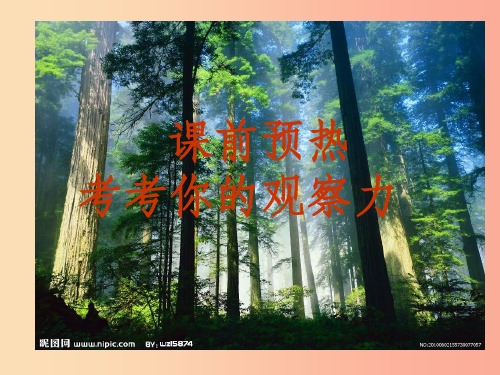 201X年九年级语文下册 第二单元 第6课《变色龙》课件 新人教版