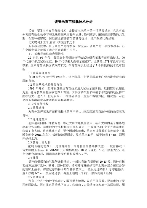 谈玉米育苗移栽技术分析