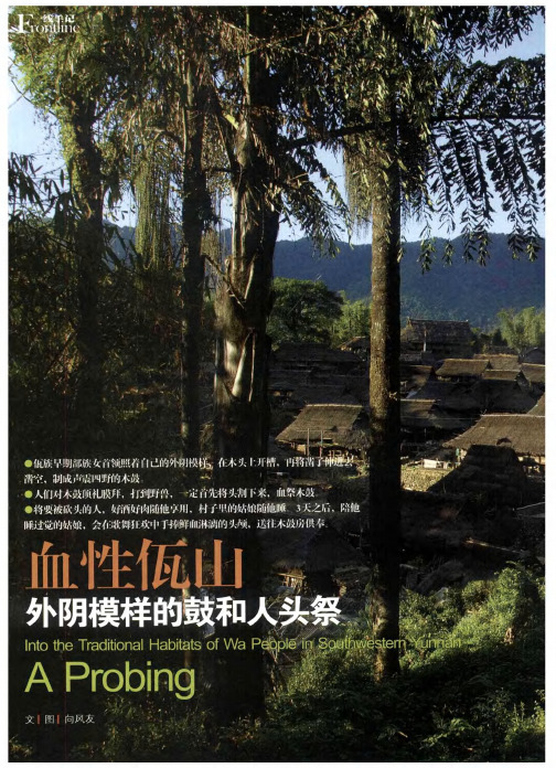 血性佤山：外阴模样的鼓和人头祭