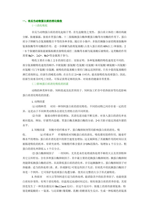 反刍非反刍消化