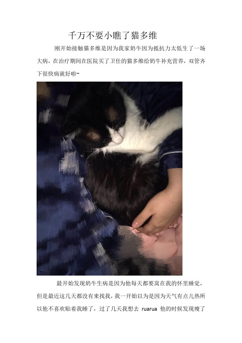 千万不要小瞧了猫多维