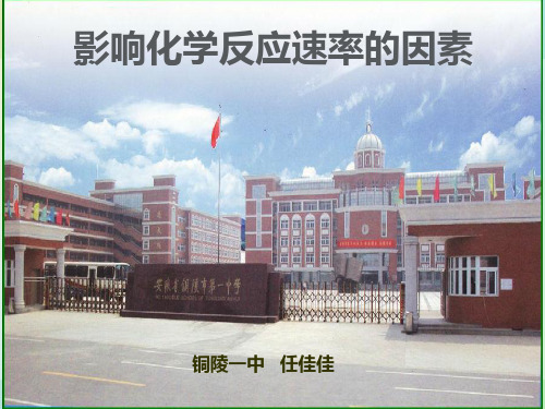 影响化学反应速率的因素(1)