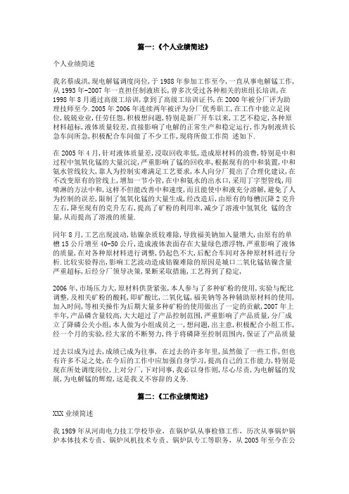 个人业绩简介