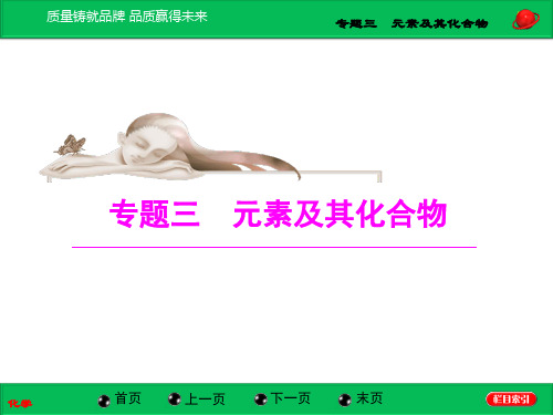 高考二轮复习元素及其化合物